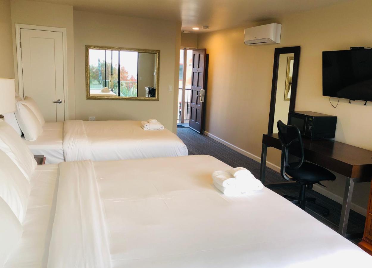 Moonlight Beach Motel 恩西尼塔斯 外观 照片