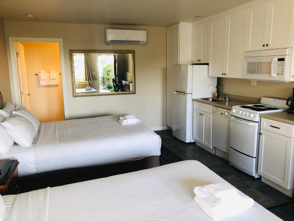 Moonlight Beach Motel 恩西尼塔斯 外观 照片