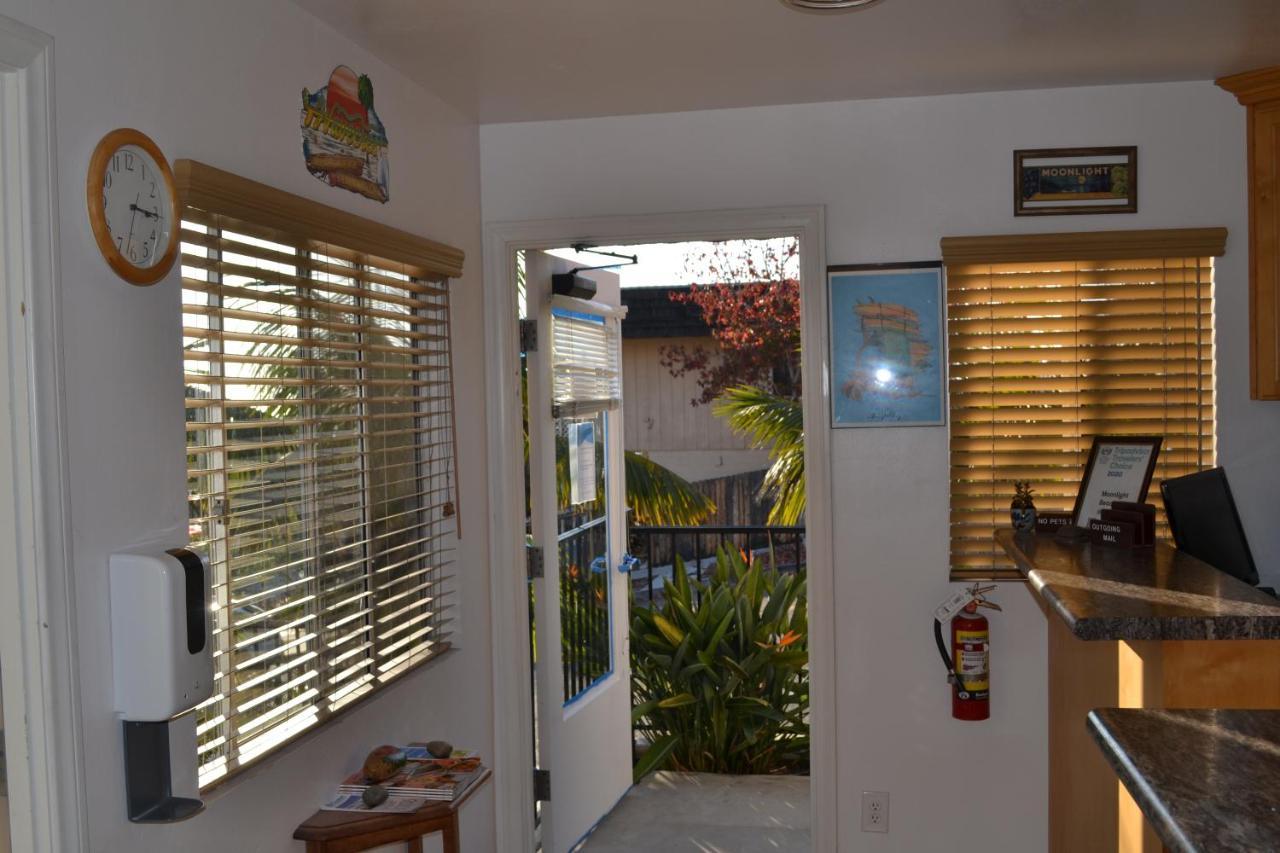 Moonlight Beach Motel 恩西尼塔斯 外观 照片