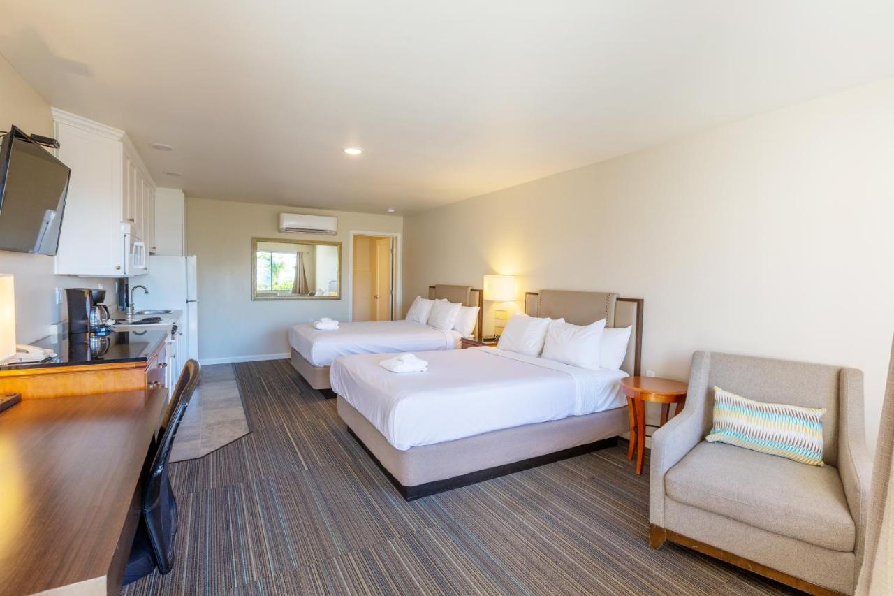 Moonlight Beach Motel 恩西尼塔斯 外观 照片