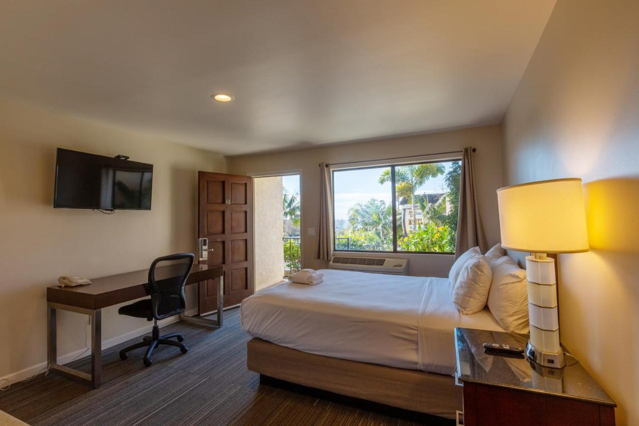 Moonlight Beach Motel 恩西尼塔斯 外观 照片